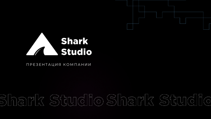 Брендбук для компании Shark Studio