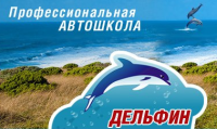 Разработка сайта для автошколы Дельфин