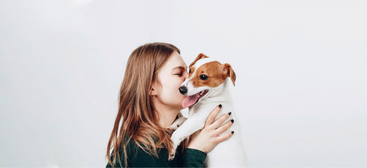 Сайт для груминг салона