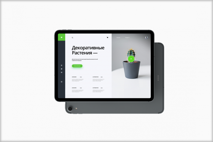 Plants Mobile