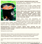 Преимущества чугунной посуды