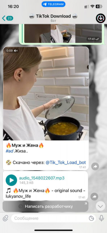 Telegram бот для скачивания видео из TikTok без водяных знаков