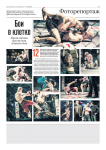 Обычная полосная верстка (фоторепортаж)
