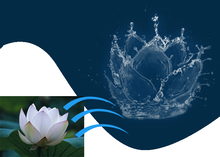 pic3932642.jpg