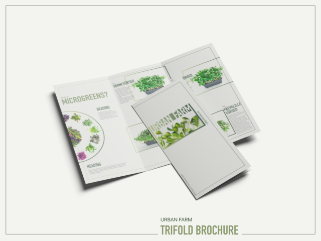 Брошюра Urban Farm