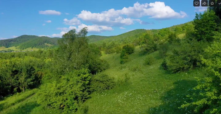 Лукоморье