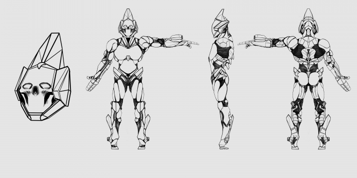 Cyber Soldier