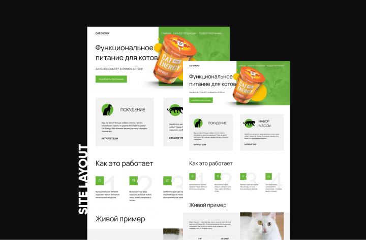 Верстка сайта кошачьих кормов