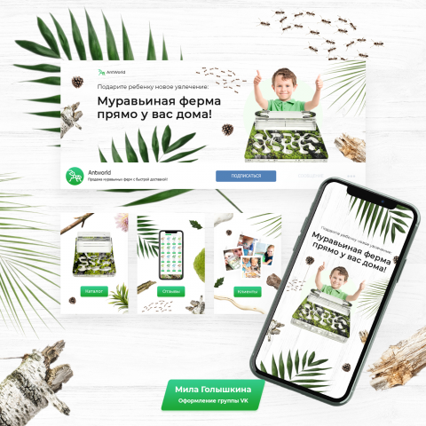 Дизайн для группы ВК по продаже муравьиных ферм