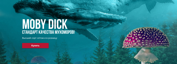 Магазин биохакинга "MobyDick"