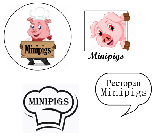 Minipigs
