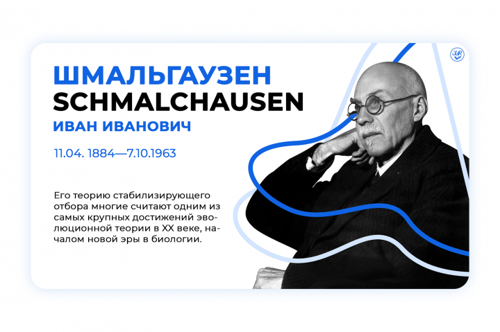 Презентация для организации "Немецкое молодежное объединение"