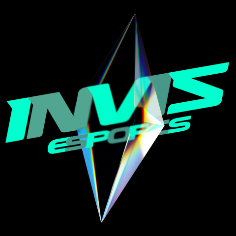 Логотип команды INVIS