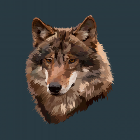 wolf