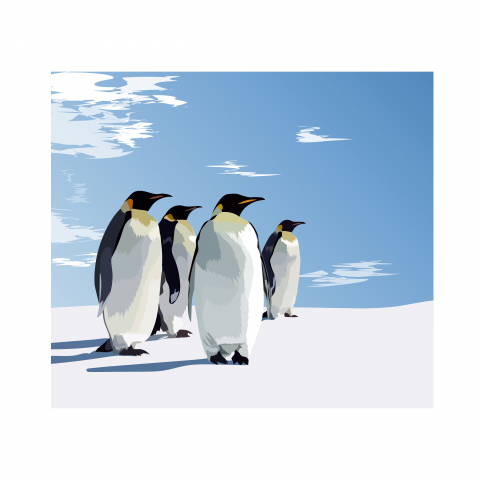 penguin