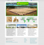 Бинака