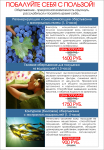 Работа 2546149