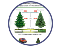 Продажа новогодних елей