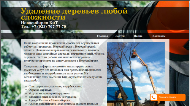 Сайт компании по Спилу аварийных деревьев.