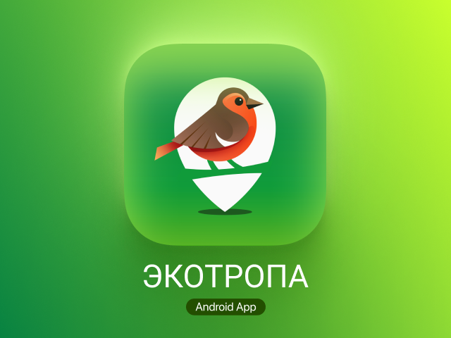 Логотип и иконка приложения