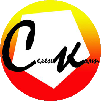 Логотип "Селенкомп"