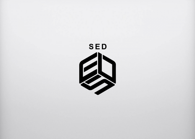 Логотип логистической компании SED
