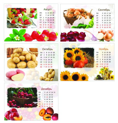 календарь "домик" на пружине_200х150 дизайн с нуля