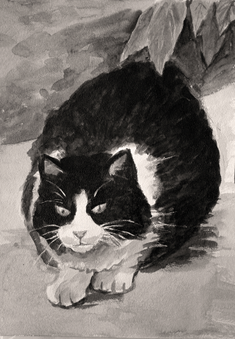 Иллюстрация "Кошка"