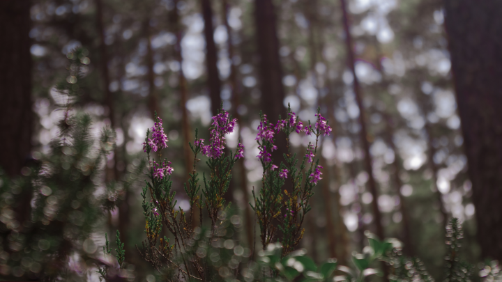 Работа 3971364