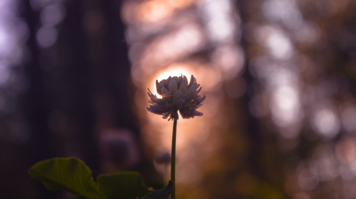 Работа 3971360