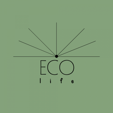 Лого для магазина продающего ECO-товары.