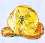 Иллюстрация к детской книжке