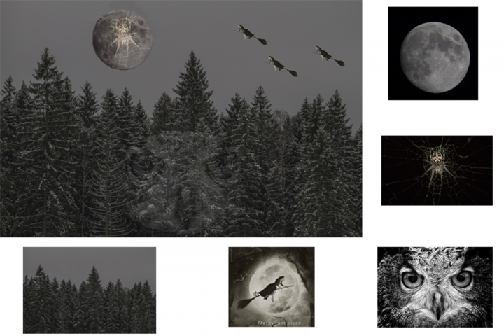 Сказочная тайга