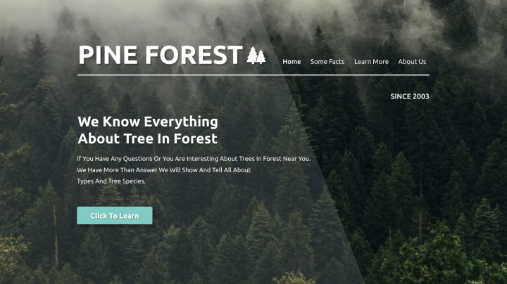 Разработка сайта для Лесничества " Pine Forest"