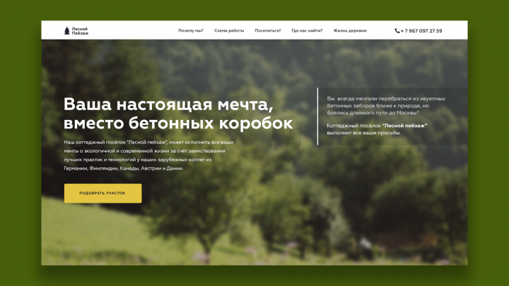 Лесной пейзаж - природное чудо рядом с Москвой