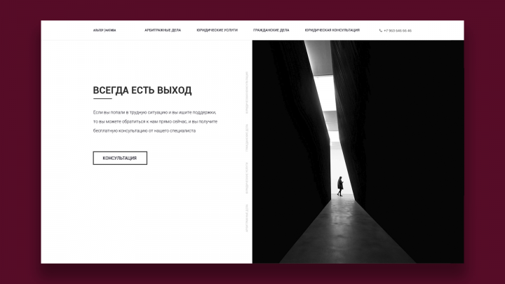 Альтернатива - профессиональное, юридическое агенство