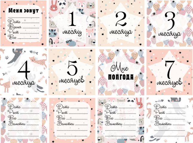 Карточки для фотосессий