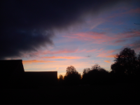 Работа 3077684