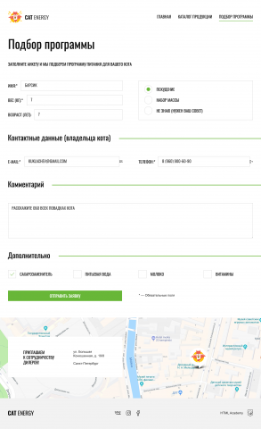 Страница формы