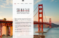 Дизайн сайта для международной консалтинговой компании Solnatax