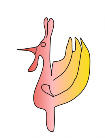 государство