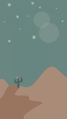 Ночь в пустыне