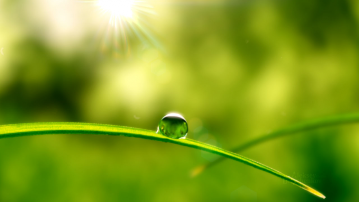 Intro Green