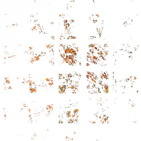 Без названия,