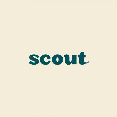 Scout