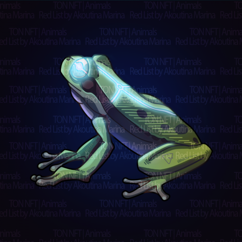 NFT Frog