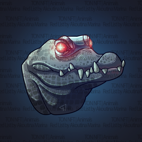 NFT collection / НФТ