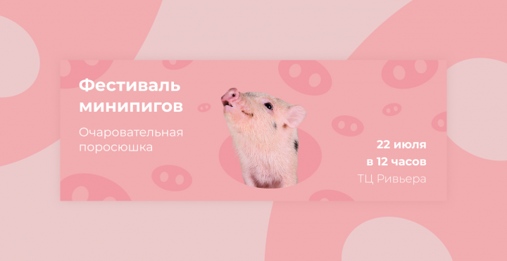 Фестиваль минипигов