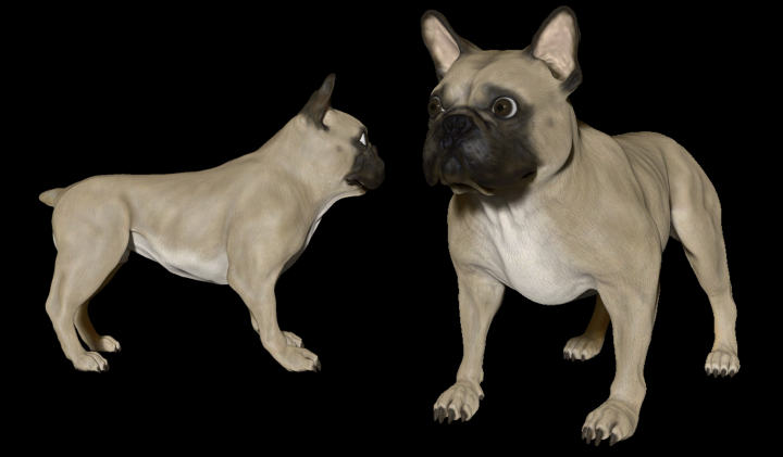 3d model