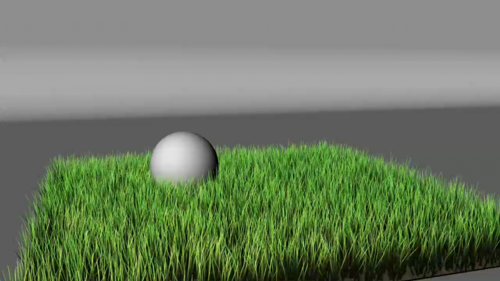 grass